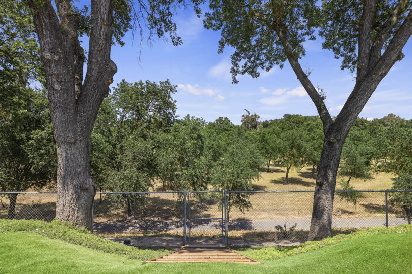 Dry Creek View